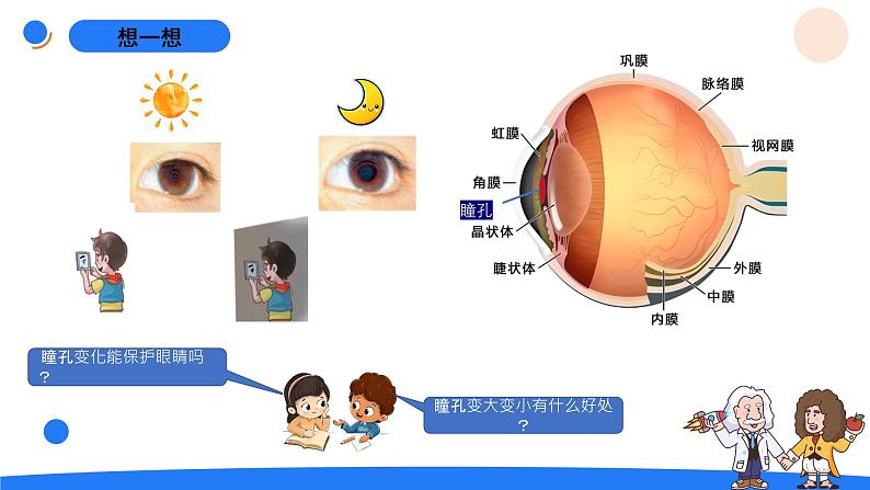 湘科版科学（2017）五年级上册--1.1人体对刺激的反应（课件+教案）03