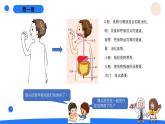 湘科版科学（2017）四年级上册--2.1我们的消化（课件+教案）