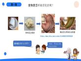 湘科版科学（2017）四年级上册--2.1我们的消化（课件+教案）