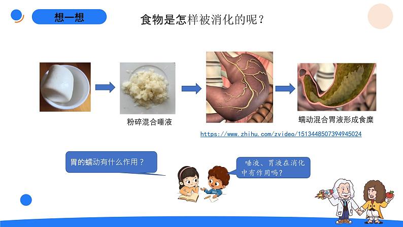 湘科版科学（2017）四年级上册--2.1我们的消化（课件+教案）05