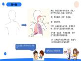 湘科版科学（2017）四年级上册--2.2我们的呼吸（课件+教案）