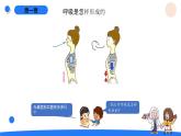 湘科版科学（2017）四年级上册--2.2我们的呼吸（课件+教案）