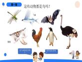 湘科版科學(xué)（2017）三年級(jí)上冊(cè)--2.3鳥（課件+教案）