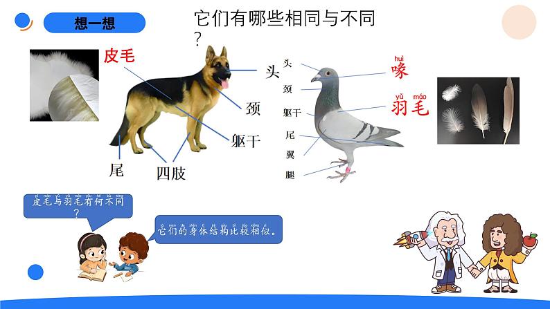 湘科版科学（2017）三年级上册--2.4哺乳动物（课件+教案）03