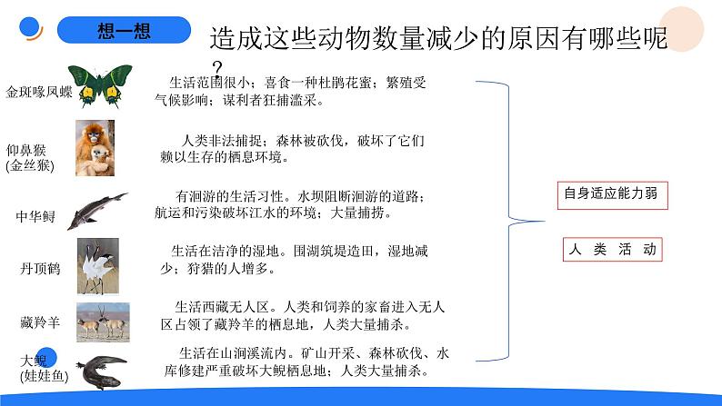 湘科版科学（2017）三年级上册--2.5珍稀动物（课件+教案）04