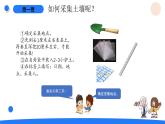 湘科版科学（2017）三年级上册--3.1采集土壤（课件+教案）