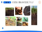 湘科版科学（2017）三年级上册--3.1采集土壤（课件+教案）
