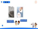 湘科版科學(xué)（2017）三年級(jí)上冊(cè)--3.2土壤的成分（課件+教案）