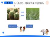 湘科版科學(xué)（2017）三年級上冊--3.3土壤的種類（課件+教案）
