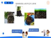 湘科版科学（2017）三年级上册--3.4土壤的保护（课件+教案）
