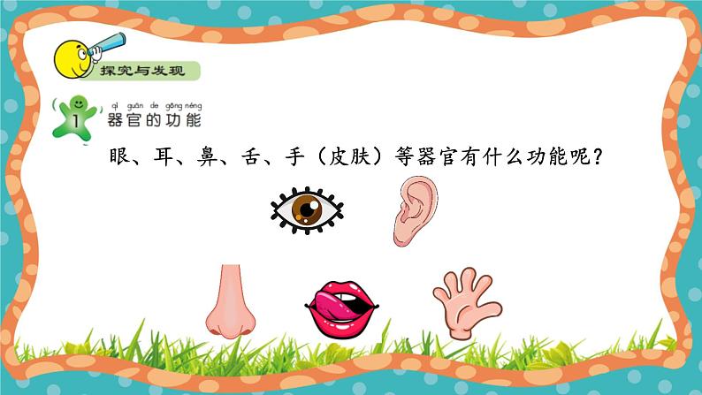 【核心素养】冀人版小学科学一年级 上册 3感觉器官 课件+教案（含教学反思）06