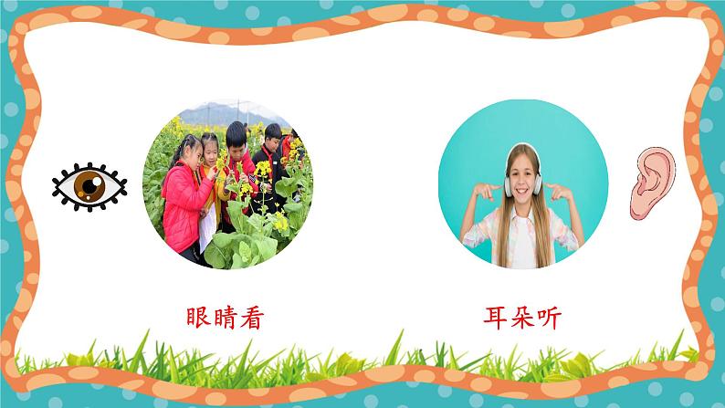 【核心素养】冀人版小学科学一年级 上册 3感觉器官 课件+教案（含教学反思）07