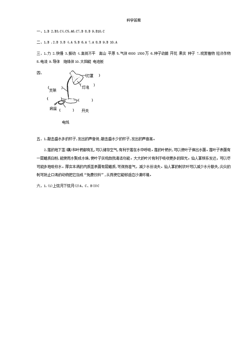 山东省德州市宁津县2024-2025学年五年级上学期开学科学试题01