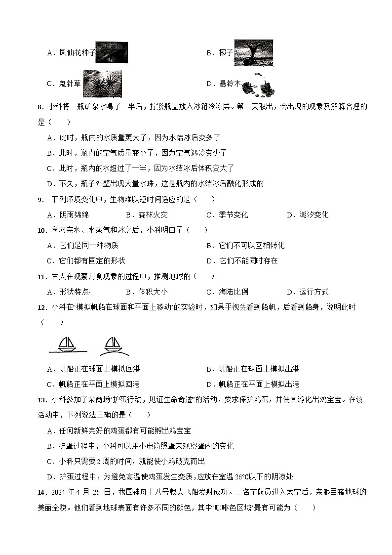 福建省厦门市海沧区2023-2024学年四年级下学期期末考试科学试题02