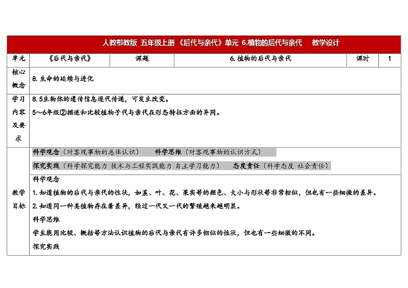 6.植物的后代与亲代 （教学设计） 2024-2025学年五年级上册科学人教鄂教版01