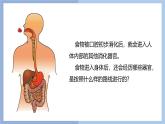 【核心素養(yǎng)】教科版科學(xué)四年級(jí)上冊(cè) 2.8 食物在身體里的旅行（教學(xué)課件+教學(xué)設(shè)計(jì)）