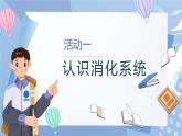 【核心素養(yǎng)】教科版科學(xué)四年級(jí)上冊(cè) 2.8 食物在身體里的旅行（教學(xué)課件+教學(xué)設(shè)計(jì)）