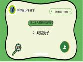 大象版（2024）小学科学第二单元单元观察常见的动物2.1观察兔子课件