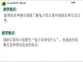 大象版（2024）小学科学第二单元单元观察常见的动物2.1观察兔子课件