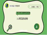 大象版（2024）小学科学第二单元观察常见的动物2.2常见的动物课件