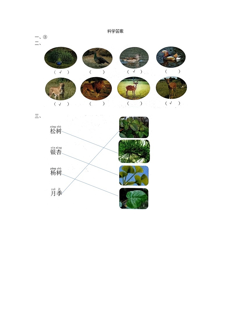 山东省聊城市冠县2023-2024学年一年级下学期期末考试科学试题01