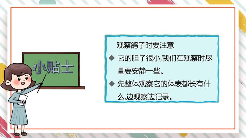 【大单元整体教学】大象版科学三年级上册2.2鸟类的特征 单元整体设计+课件+教案+素材04