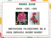 【大单元整体教学】大象版科学五年级上册2.1《感官、大脑与认知》单元整体设计+课件+教案