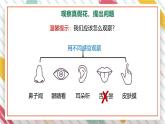 【大单元整体教学】大象版科学五年级上册2.1《感官、大脑与认知》单元整体设计+课件+教案