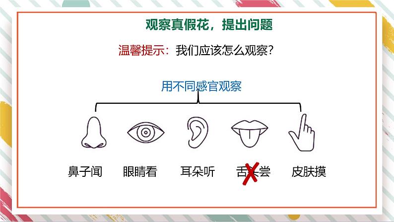 【大单元整体教学】2.1《感官、大脑与认知》课时课件第3页