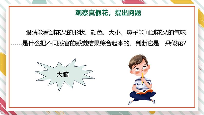 【大单元整体教学】2.1《感官、大脑与认知》课时课件第6页