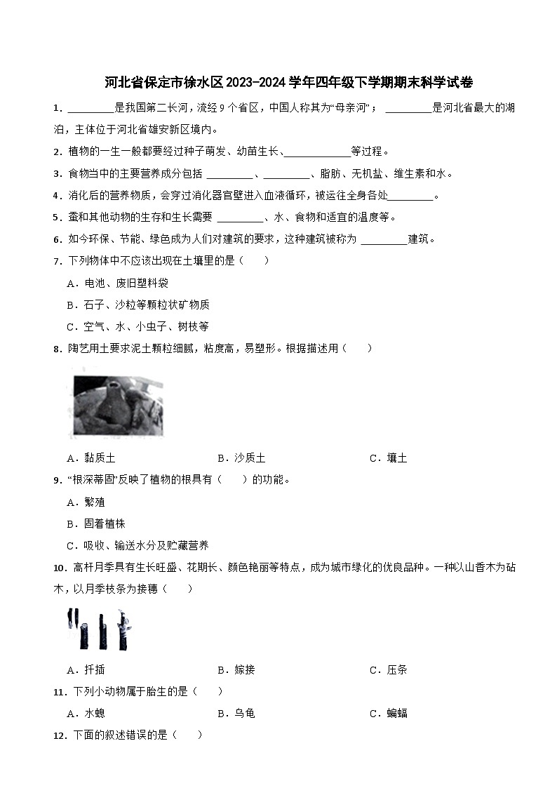 河北省保定市徐水区2023-2024学年四年级下学期期末科学试卷01