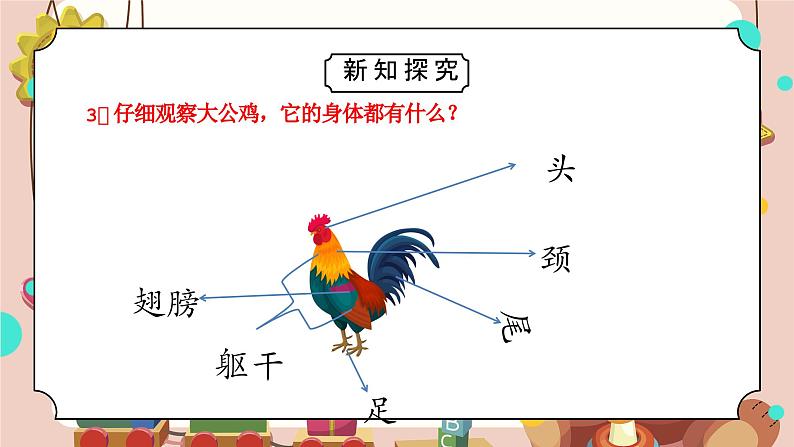 教科版科学一年级下册2.1我们知道的动物教学课件08