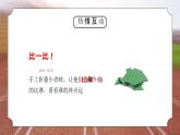 教科版一年级科学上册《比较与测量起点和终点》教学课件