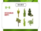 教科版一年级科学上册《植物我们知道的植物》教学课件