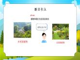 教科版一年级科学上册《植物-我们知道的植物》教学课件