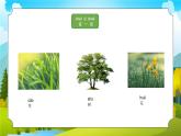 教科版一年级科学上册《植物-我们知道的植物》教学课件