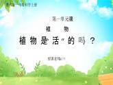 教科版一年级科学上册《植物植物是“活”的吗》教学课件