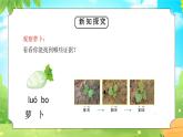 教科版一年级科学上册《植物植物是“活”的吗》教学课件