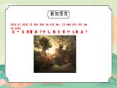 教科版一年級(jí)科學(xué)上冊(cè)2.1在觀察中比較教學(xué)課件