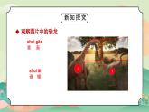 教科版一年級(jí)科學(xué)上冊(cè)2.1在觀察中比較教學(xué)課件