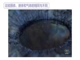 蘇教版三年級(jí)科學(xué)上冊(cè)3.9認(rèn)識(shí)液體課件