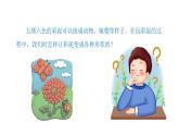 小学科学新青岛版六三制一年级上册第三单元第10课《玩彩泥》教学课件（2024秋）