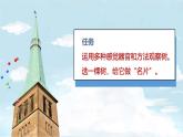 小学科学新青岛版六三制一年级上册第二单元第9课《给树做“名片”》教学课件（2024秋）