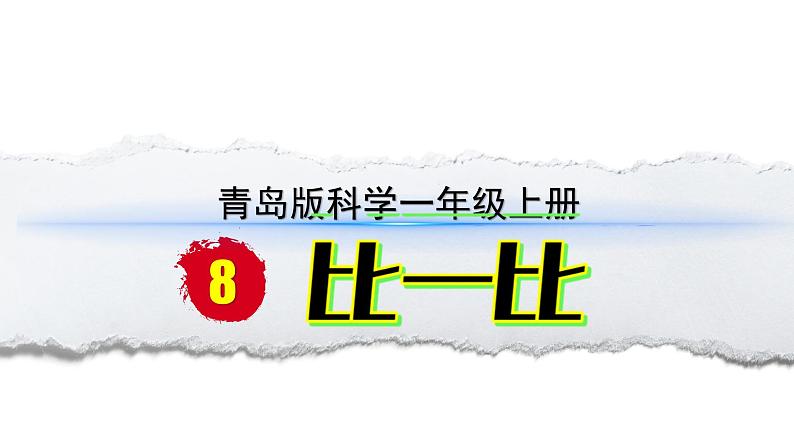 小学科学新青岛版六三制一年级上册第二单元第8课《比一比》教学课件（2024秋）第1页