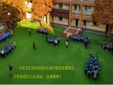 小学科学新青岛版六三制一年级上册第二单元第8课《比一比》教学课件（2024秋）