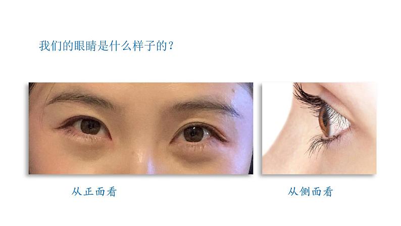 小学科学新青岛版六三制一年级上册第二单元第4课《看一看》教学课件（2024秋）第4页