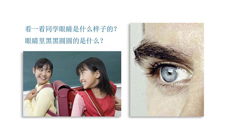 小学科学新青岛版六三制一年级上册第二单元第4课《看一看》教学课件（2024秋）第5页