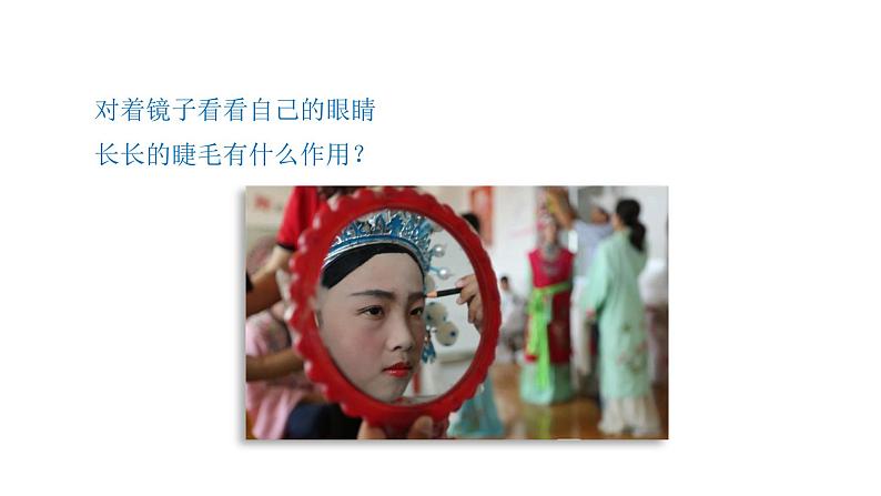 小学科学新青岛版六三制一年级上册第二单元第4课《看一看》教学课件（2024秋）第6页