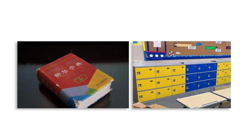 小学科学新青岛版六三制一年级上册第二单元第4课《看一看》教学课件（2024秋）第8页