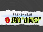 小学科学新青岛版六三制一年级上册第一单元第3课《我的“小问号”》教学课件（2024秋）
